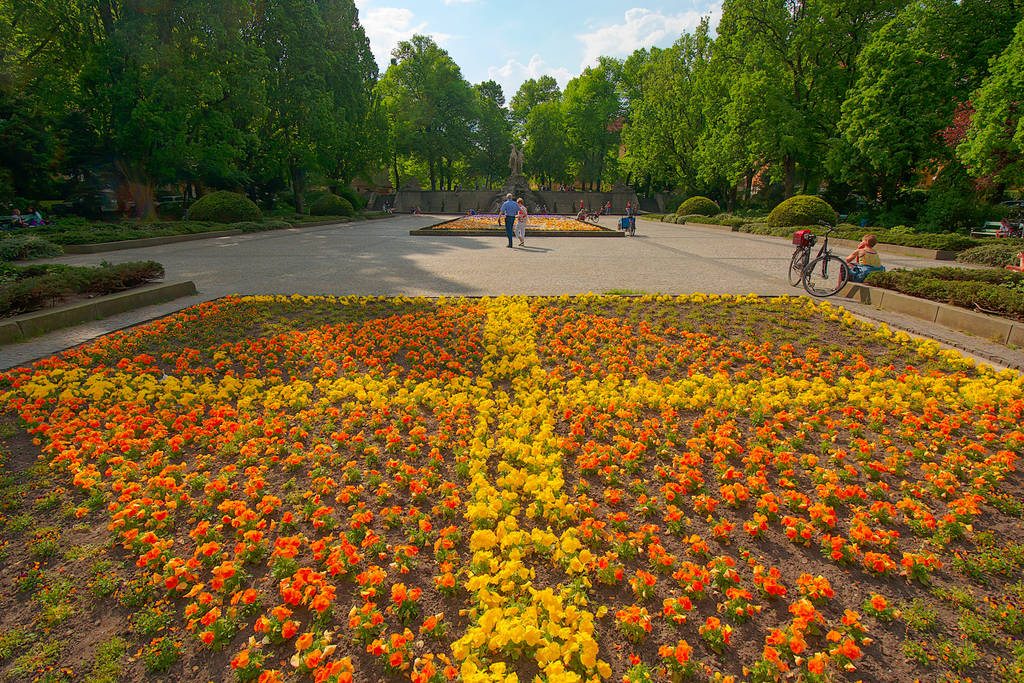 Rüdesheimer Platz mit Blumen